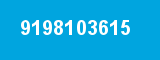 9198103615