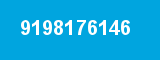 9198176146