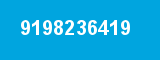 9198236419