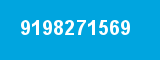9198271569
