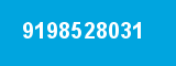 9198528031