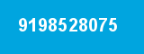 9198528075