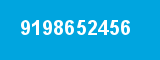 9198652456