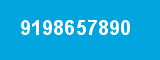 9198657890