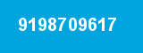 9198709617