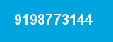9198773144