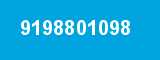 9198801098