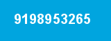 9198953265 9198953265