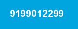 9199012299