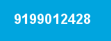 9199012428
