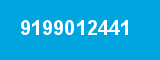 9199012441