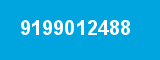 9199012488 9199012488