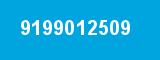9199012509