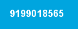 9199018565