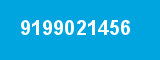 9199021456