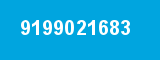 9199021683