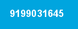 9199031645 9199031645