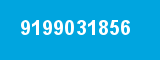 9199031856