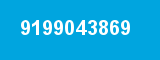 9199043869 9199043869
