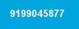 9199045877 9199045877