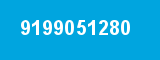 9199051280