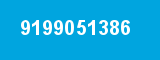 9199051386