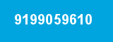 9199059610