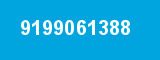 9199061388