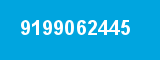 9199062445