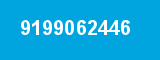 9199062446 9199062446