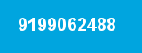 9199062488