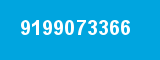 9199073366