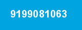 9199081063