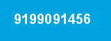 9199091456