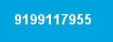 9199117955