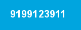 9199123911