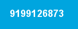 9199126873