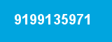 9199135971