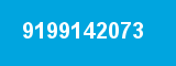 9199142073