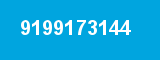 9199173144