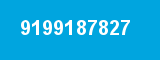 9199187827