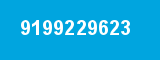 9199229623