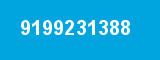 9199231388