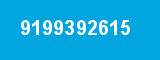 9199392615