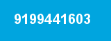 9199441603 9199441603