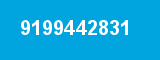 9199442831