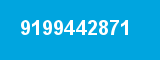 9199442871