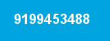 9199453488