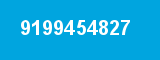 9199454827