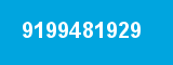 9199481929